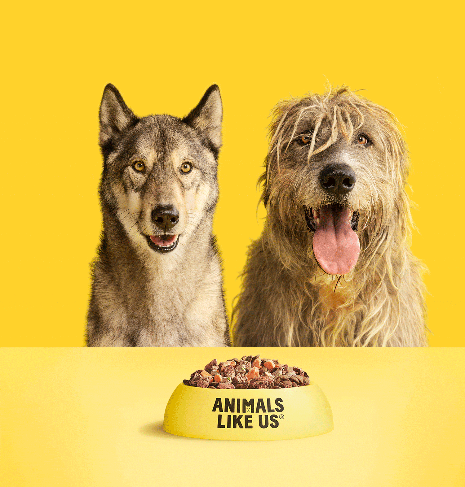 Dog_Sampling_Web_1500x1573_Final-B Why-Add-Raw-Wolf-Dogs
