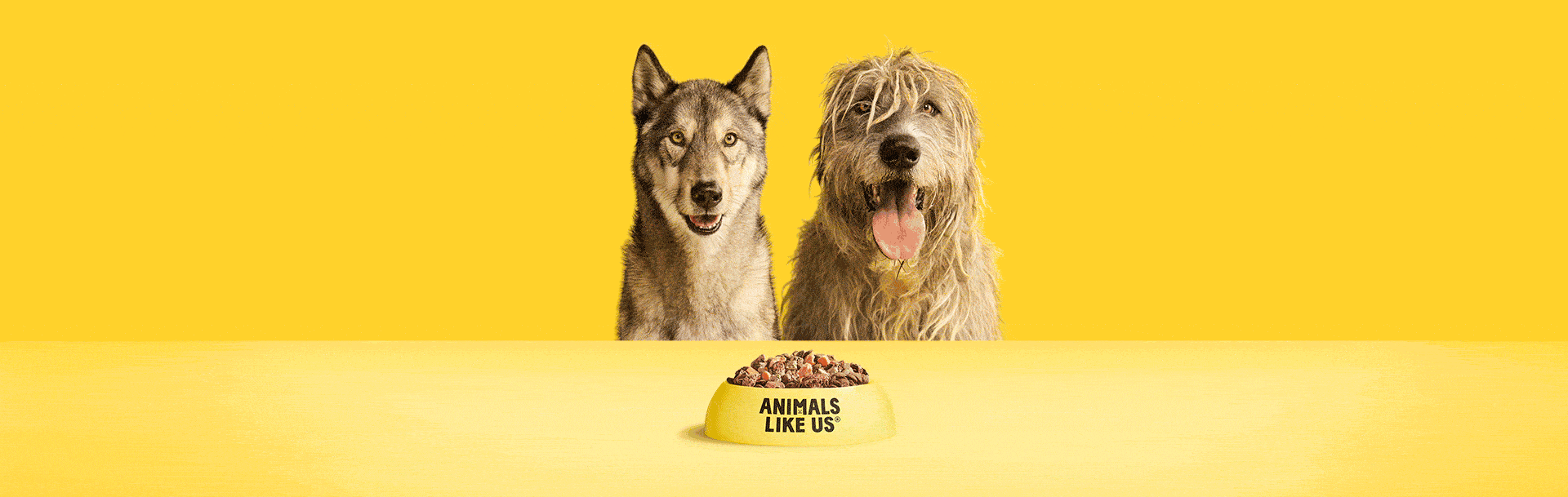 Wolf_Tiger_GIF_Frames_2432x1370_Final Wolf_Dogs