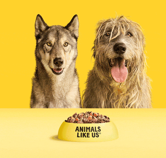 Dogs_Cats_Combined_640x844 Wolf_Dogs
