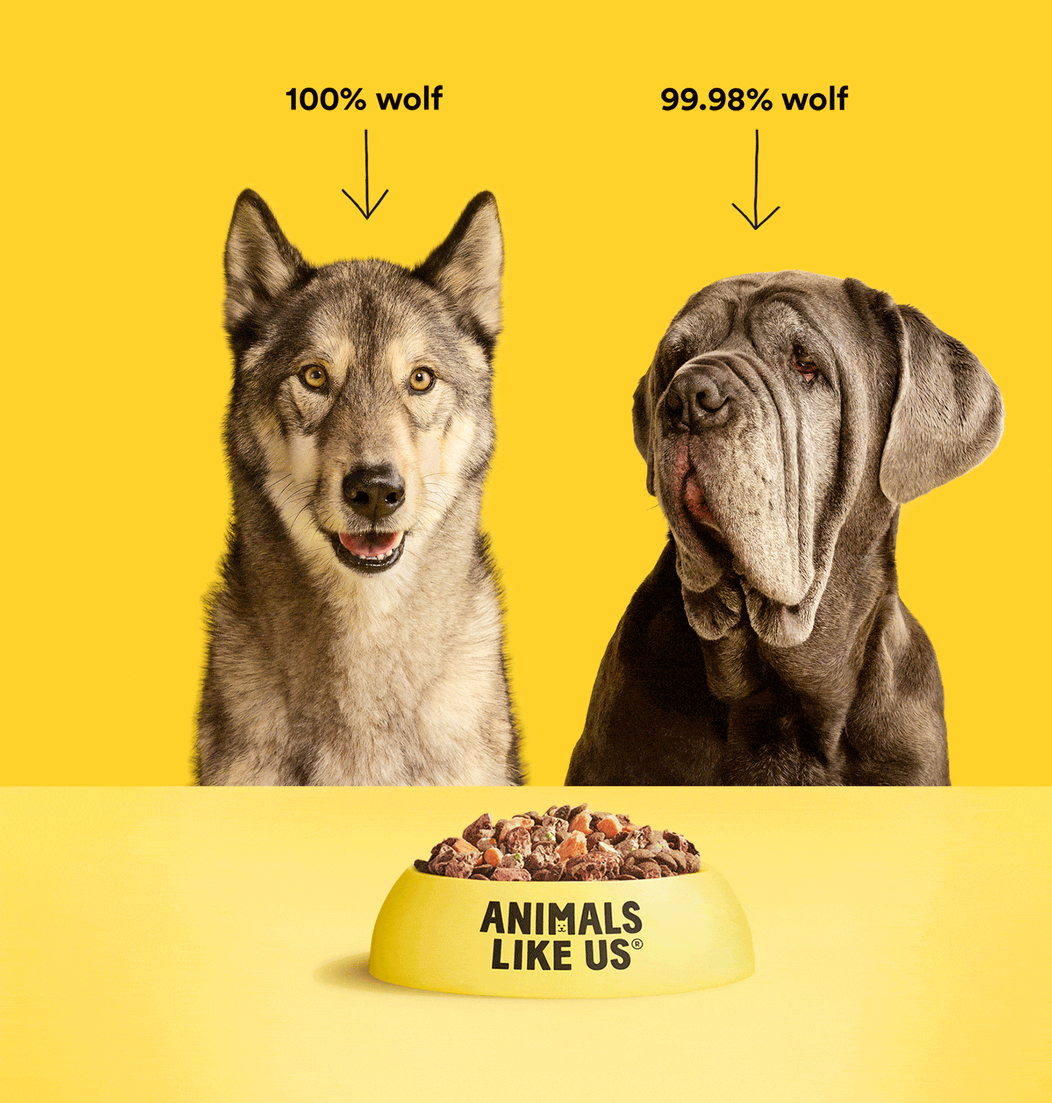 wolf-dogs-gif